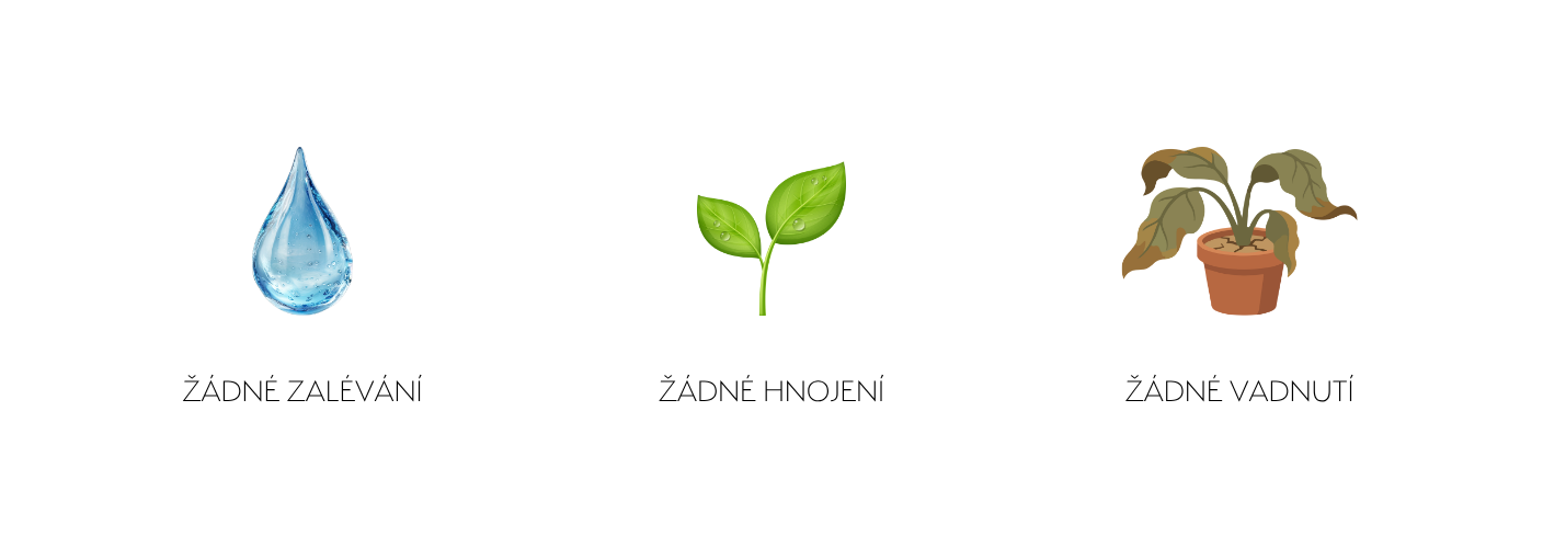 rozměr rámu 4  25 x 25 cm-3